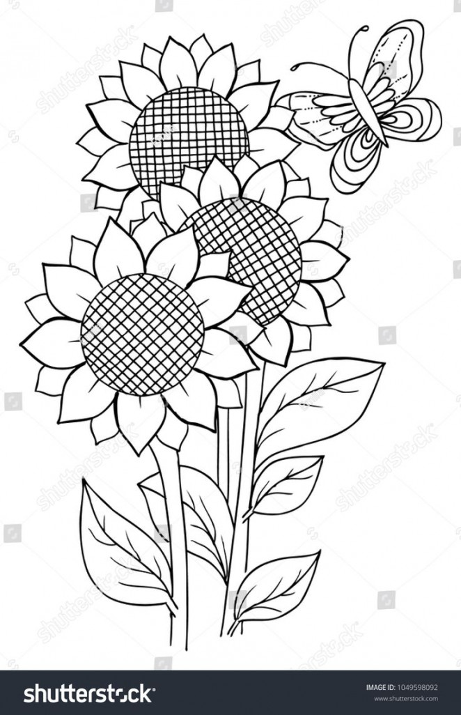 Sunflowers and a butterfly for coloring  Sunflower drawing