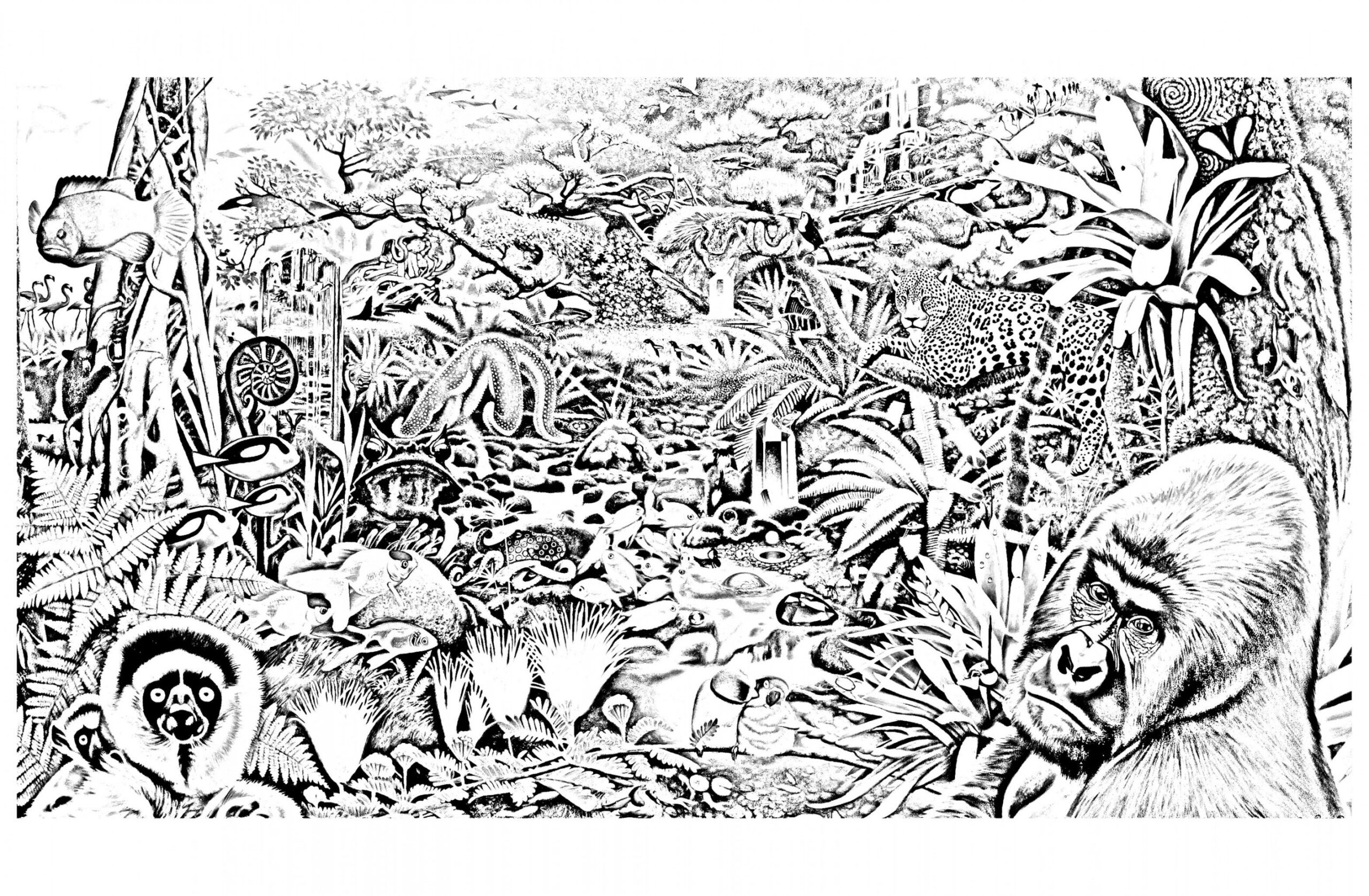 Various animals in a forest, to print and color for free  Jungle