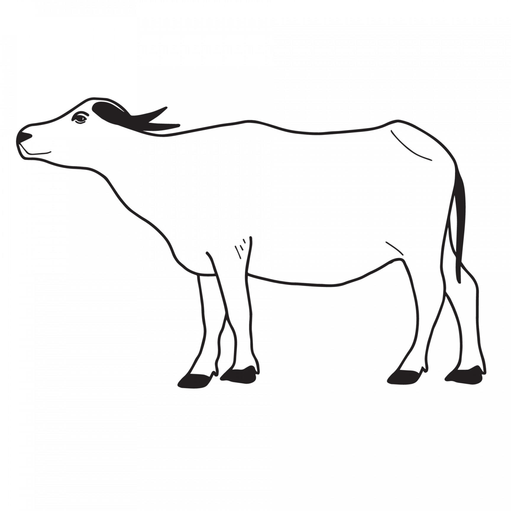 Water buffalo or Thai buffalo vector. Side view