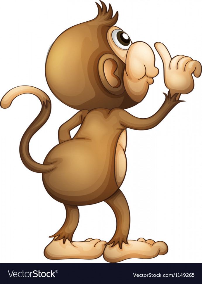 A monkeys back Royalty Free Vector Image - VectorStock