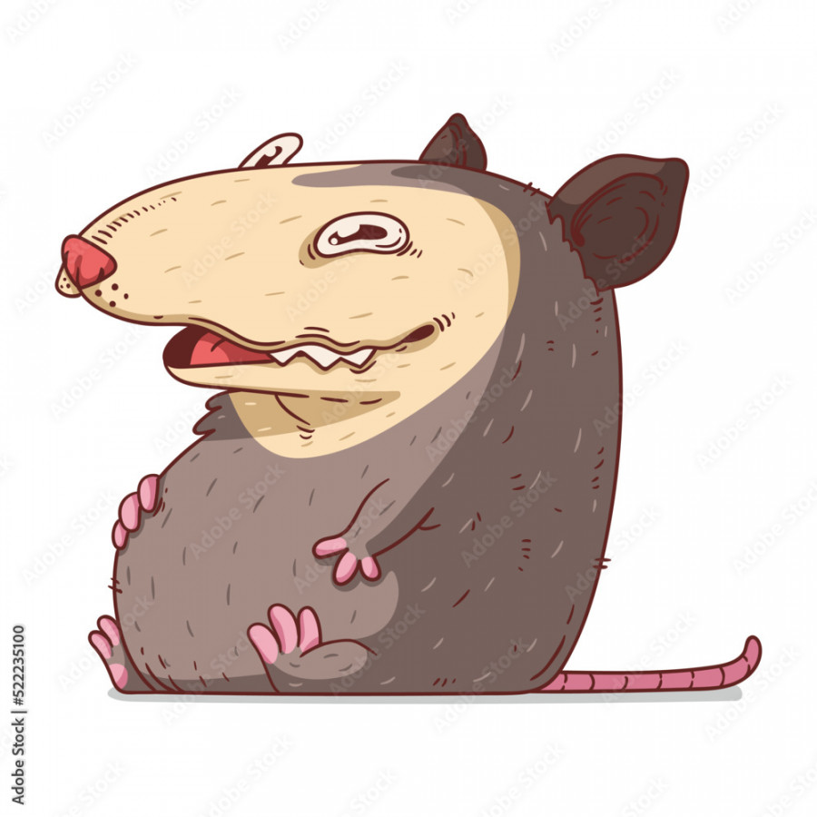 A Possum, isolated vector illustration