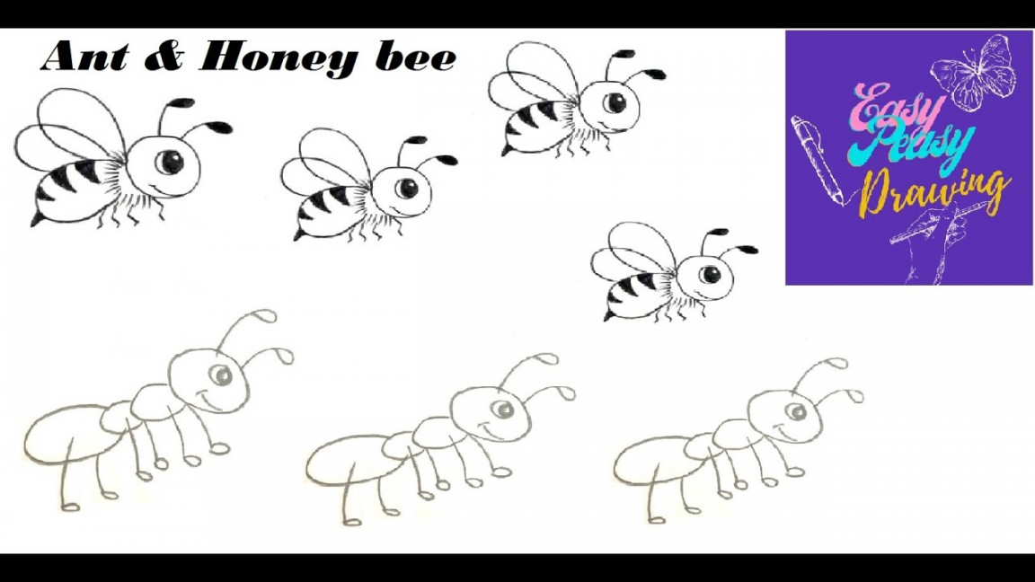 Ant And Honey bee: How To Learn Drawing  Drawing  How To Draw Ant And  Honey bee  Beginners