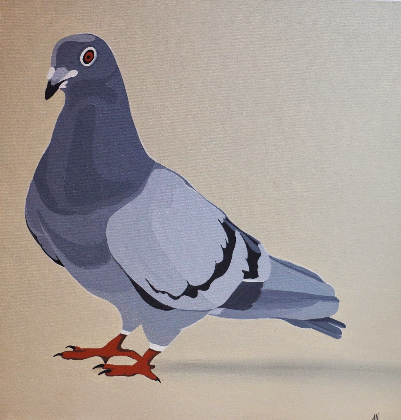 Art, Travel & other Bits  Animal portraits art, Bird art, Cute pigeon