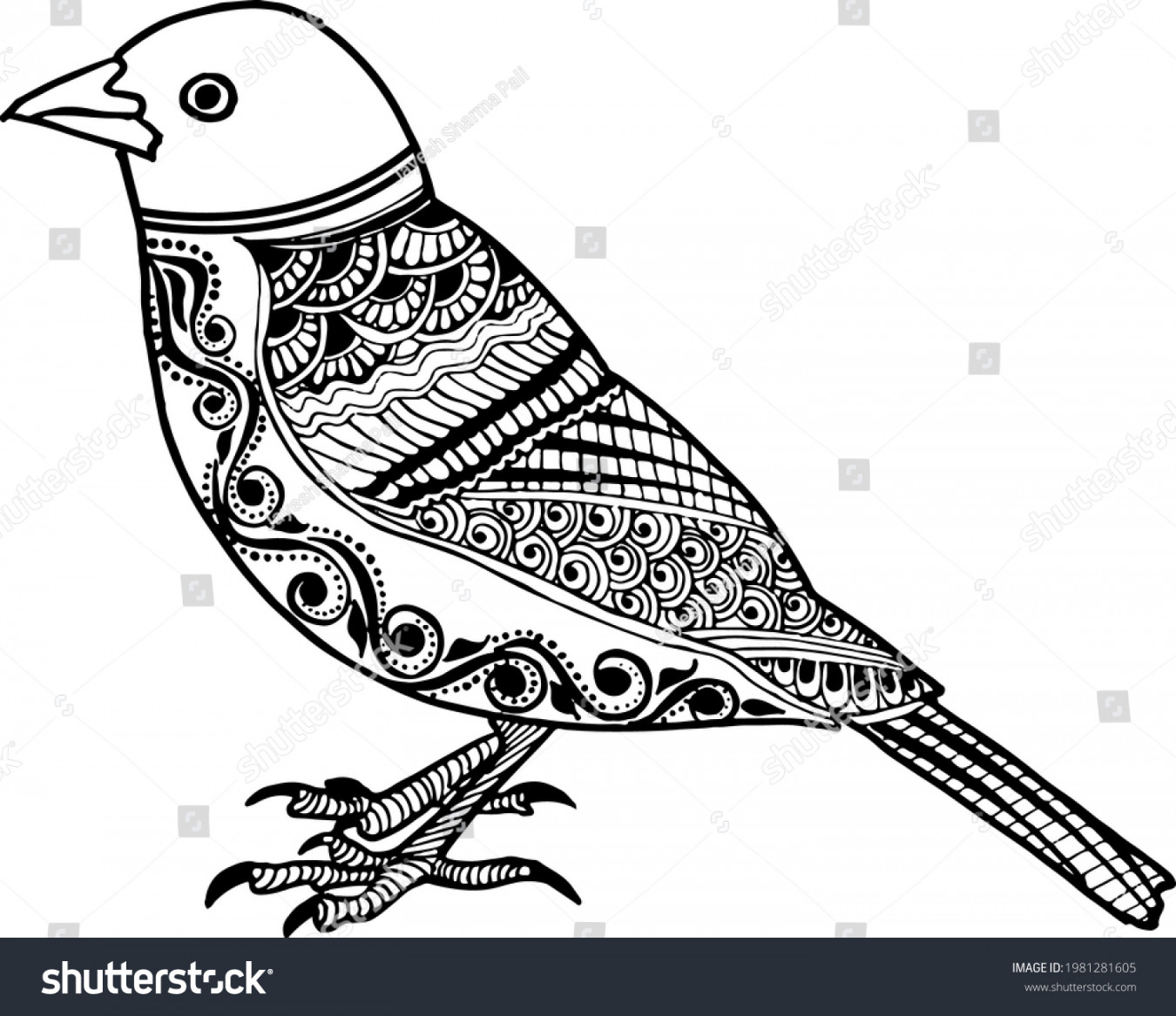 Artistic Bird Vector Illustration Line Drawing Stock Vector