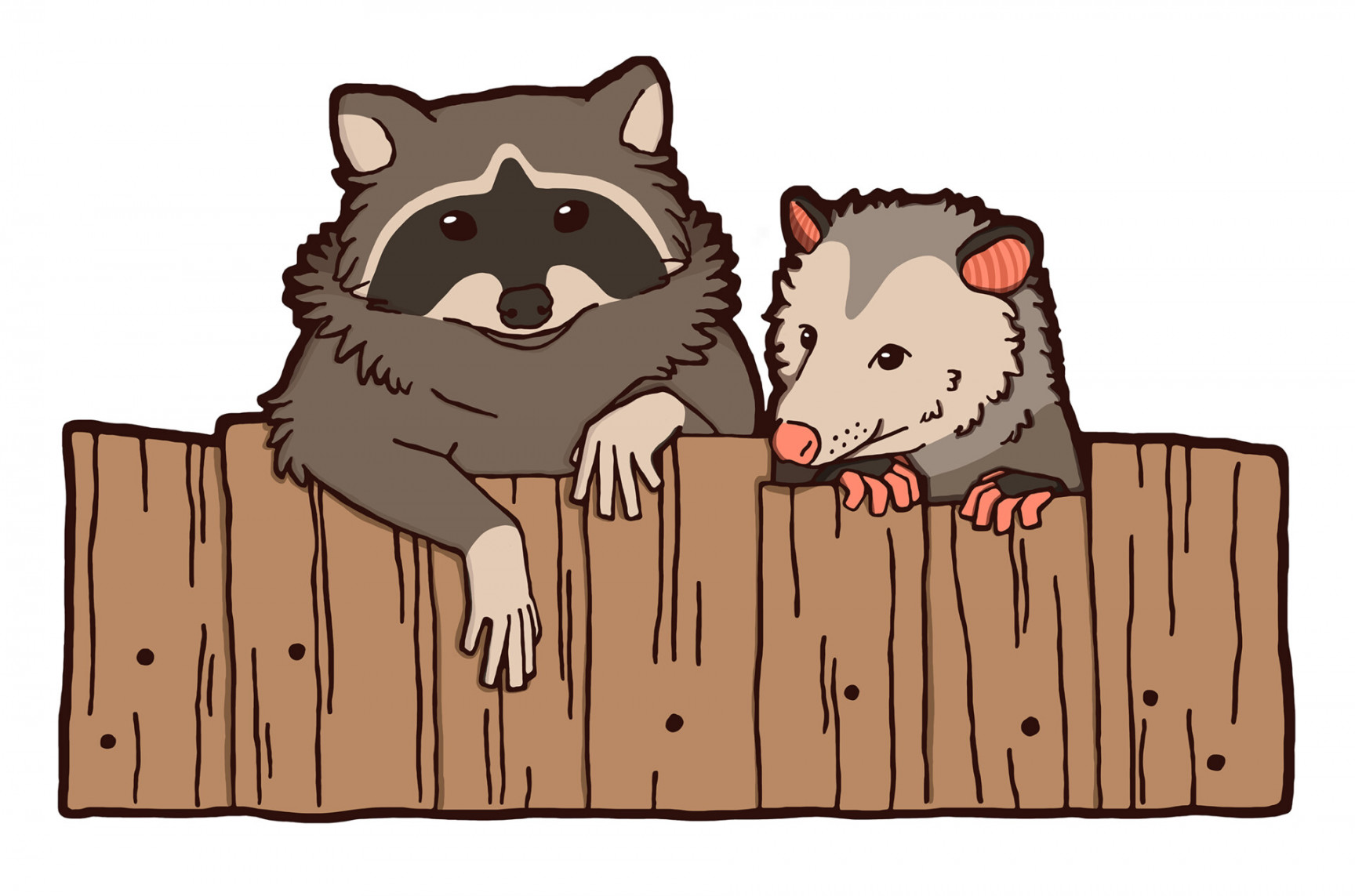 ArtStation - Best friends raccoon and opossum