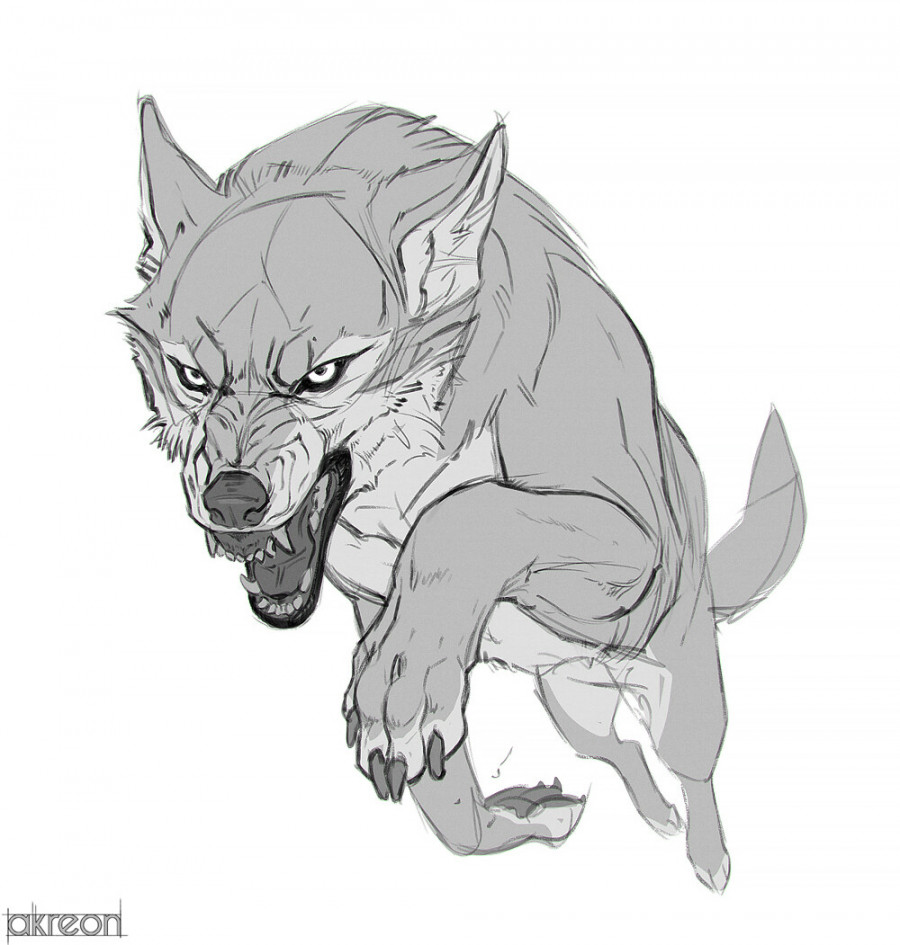 ArtStation - jumping wolf sketch