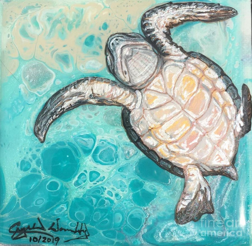 Baby Turtle Belly Painting by Crystal Dombrosky - Fine Art America