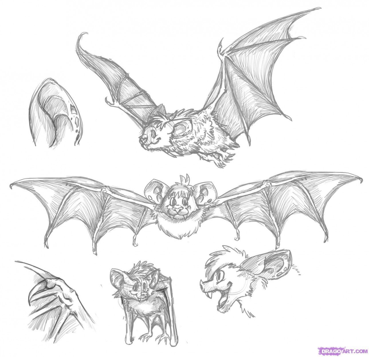 Bat drawings  Fledermäuse, Kinderbücher, Zeichnungen