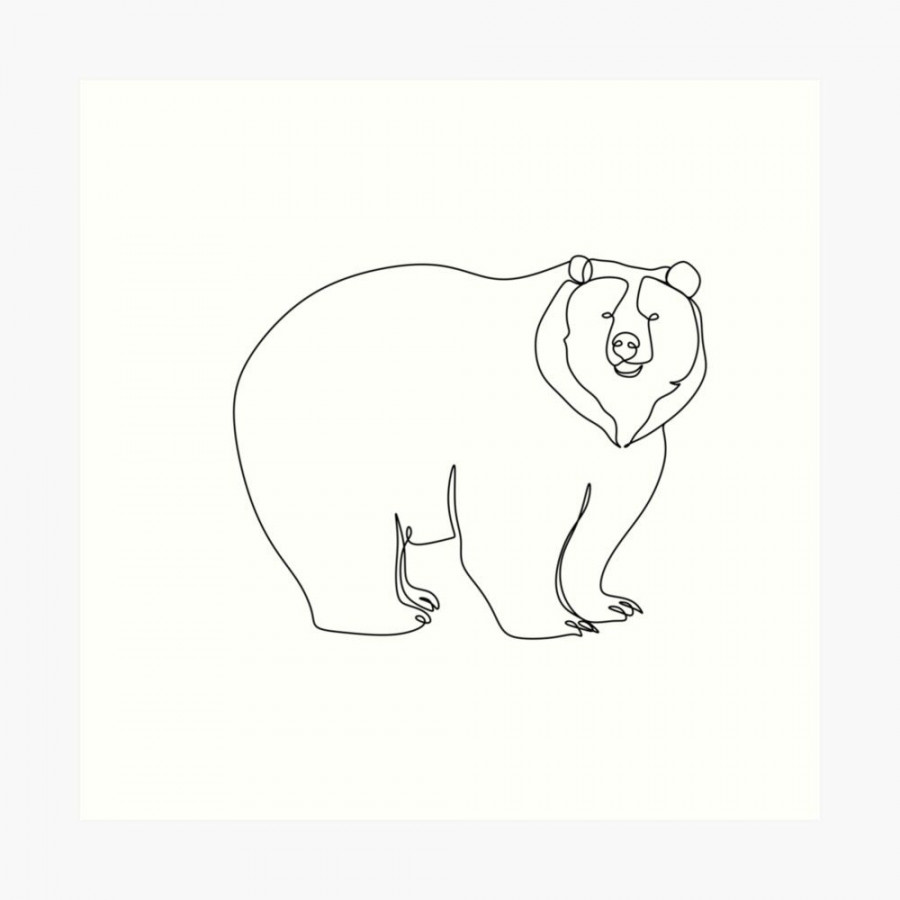 Bear line drawing