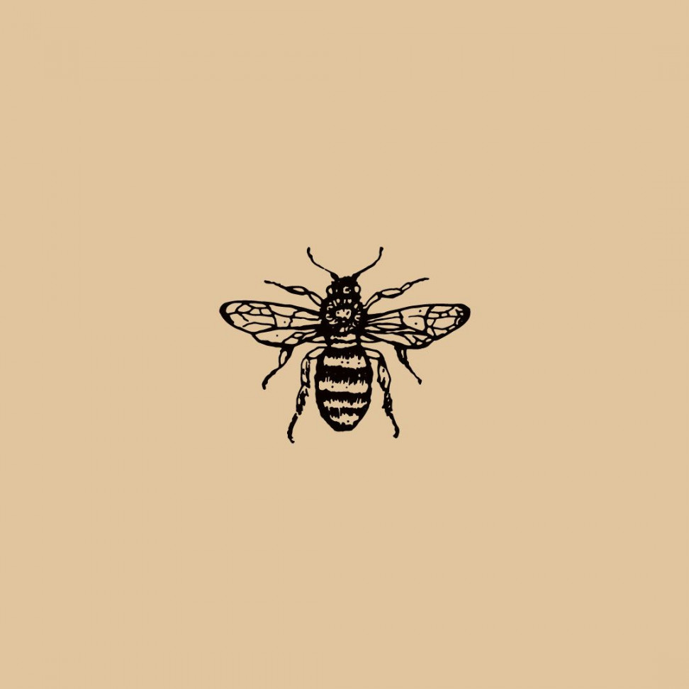 Bee Illustration//Icon//Design//Branding//Braizen #branding  Bee