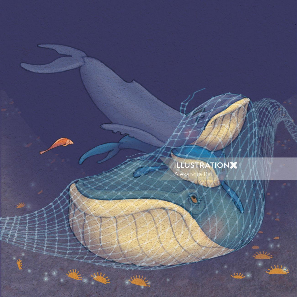 Betty the Blue Whale: stuck in net  Illustration by Alexandra Ball