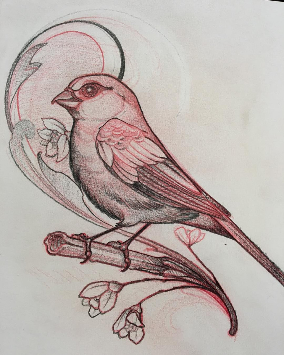 Birds!  Tattoo flash art, Bird art, Bird drawings