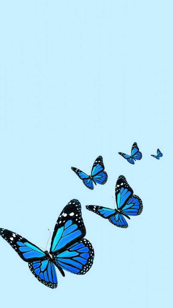 Blue butterfly wallpaper (original)  Imagem de fundo para iphone