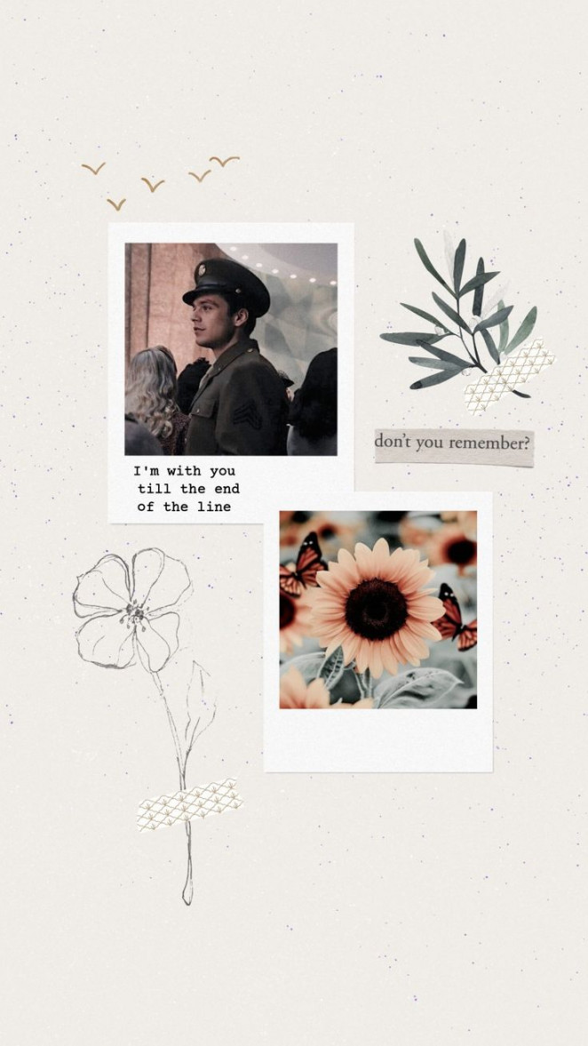 Bucky Barnes aesthetic wallpaper  Bucky barnes aesthetic, Bucky