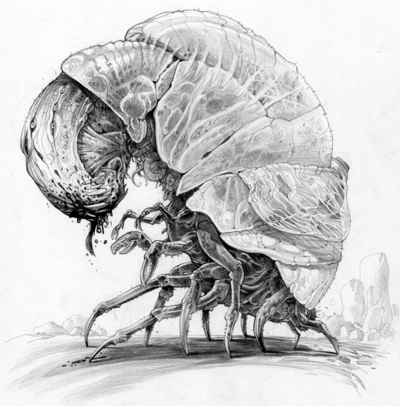 bug by MANSYC on DeviantArt  Creature design, Creature drawings