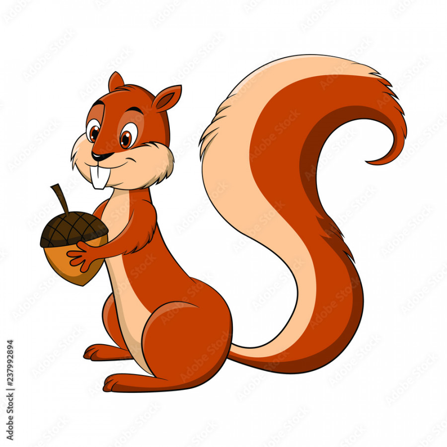 Cartoon drawing illustration of a Squirrel holding a nut Stock