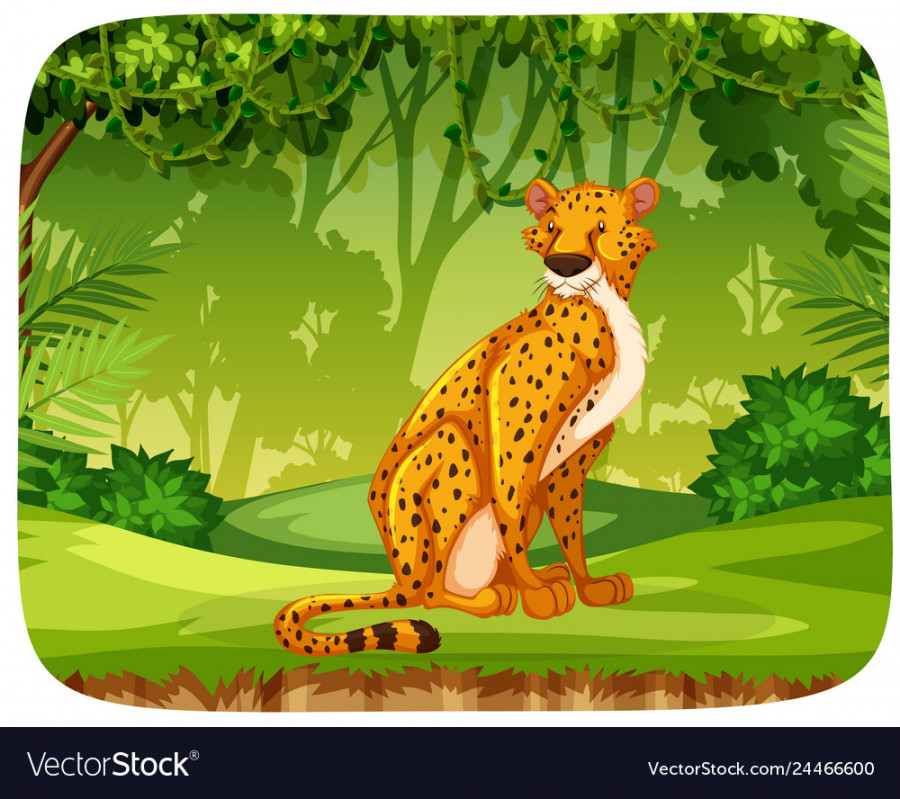 Cheetah in jungle scene Royalty Free Vector Image