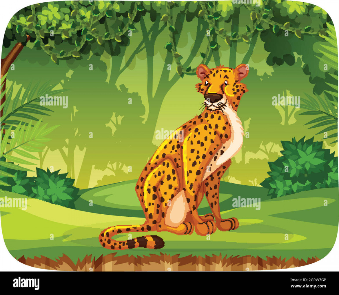 Cheetah in jungle scene Stock Vector Image & Art - Alamy