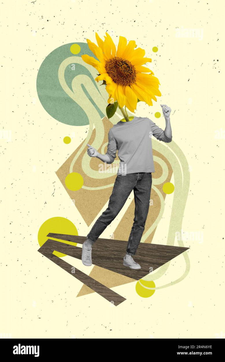 Collage vertical picture of headless human guy dancing sunflower