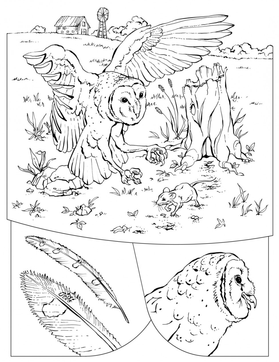 Coloring Book: Animals (A to I)