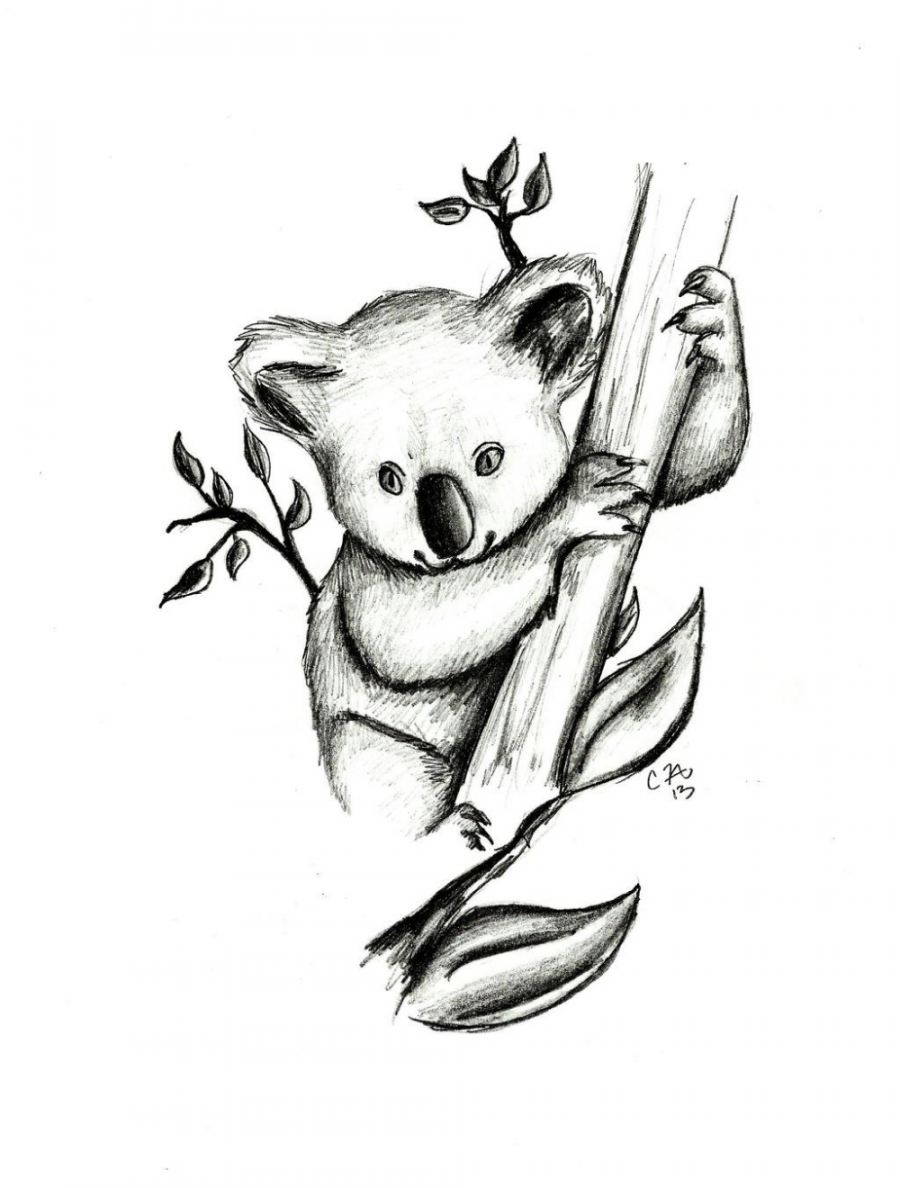 Commission Koala by Roguedome on DeviantArt  Koala drawing, Koala