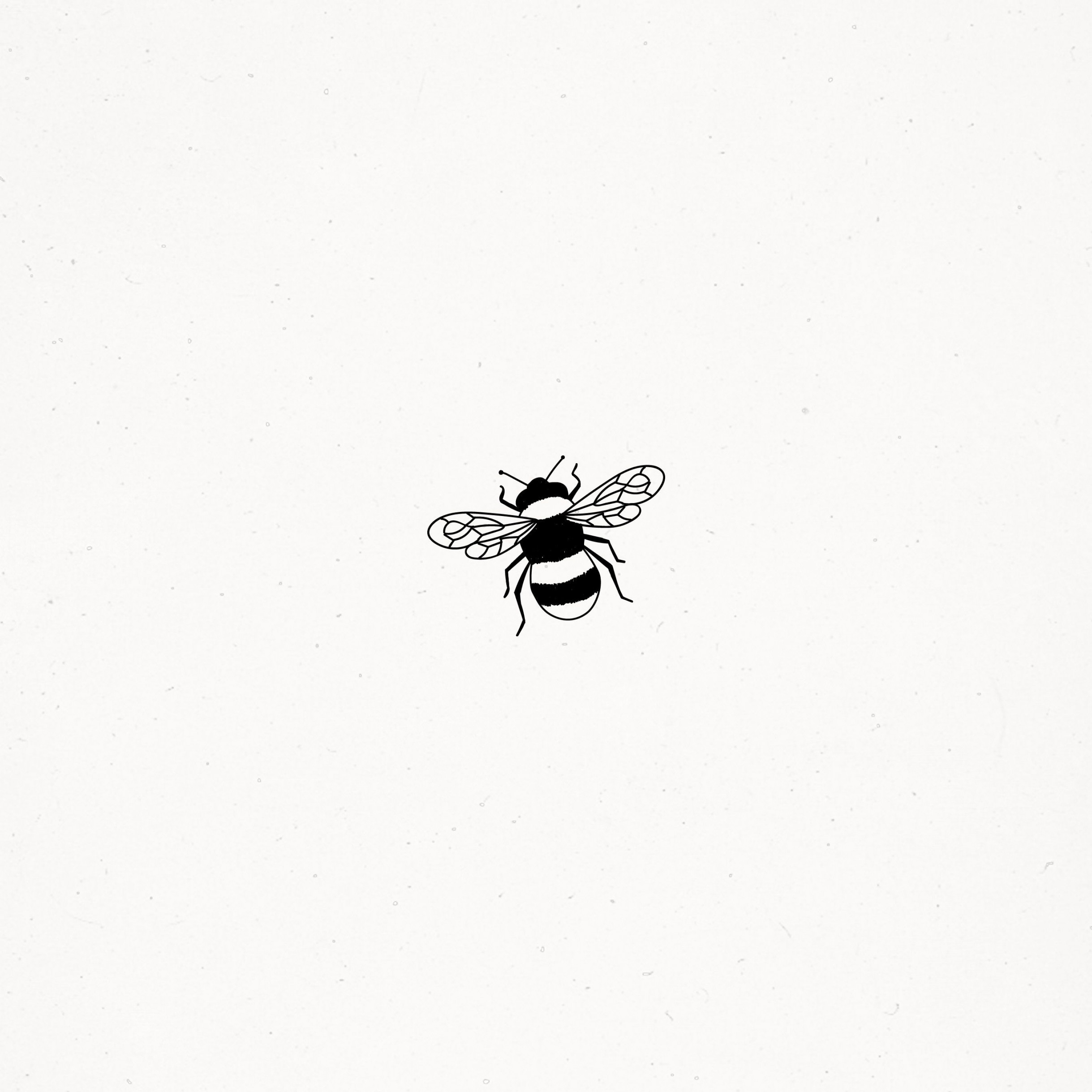 Cute Bee Illustration Doodle Drawing Insect Nature Living Life