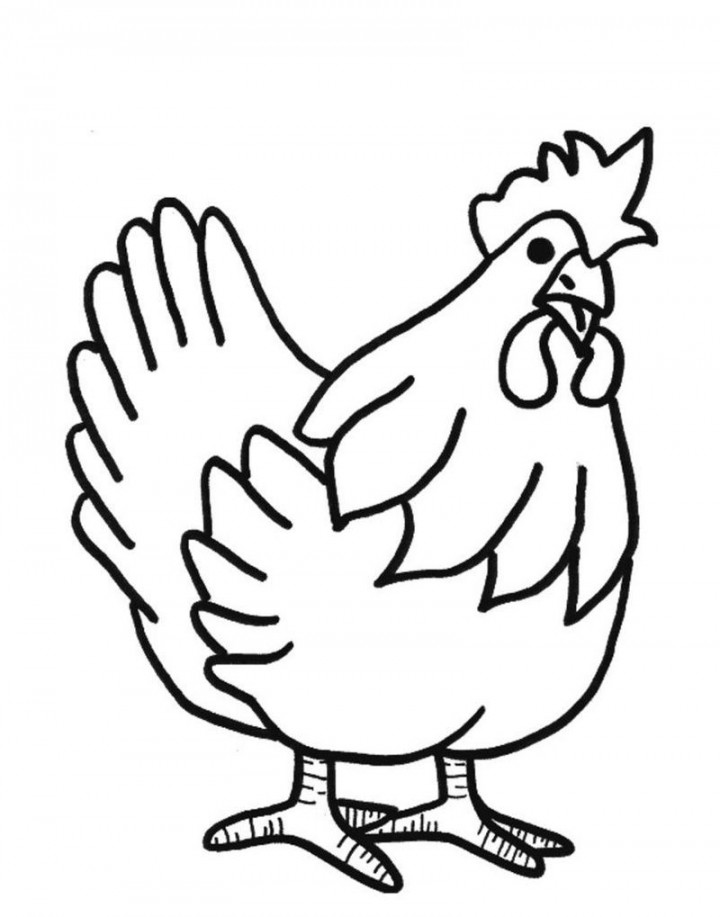 Cute Chicken Coloring Pages PDF For Children - Coloringfolder