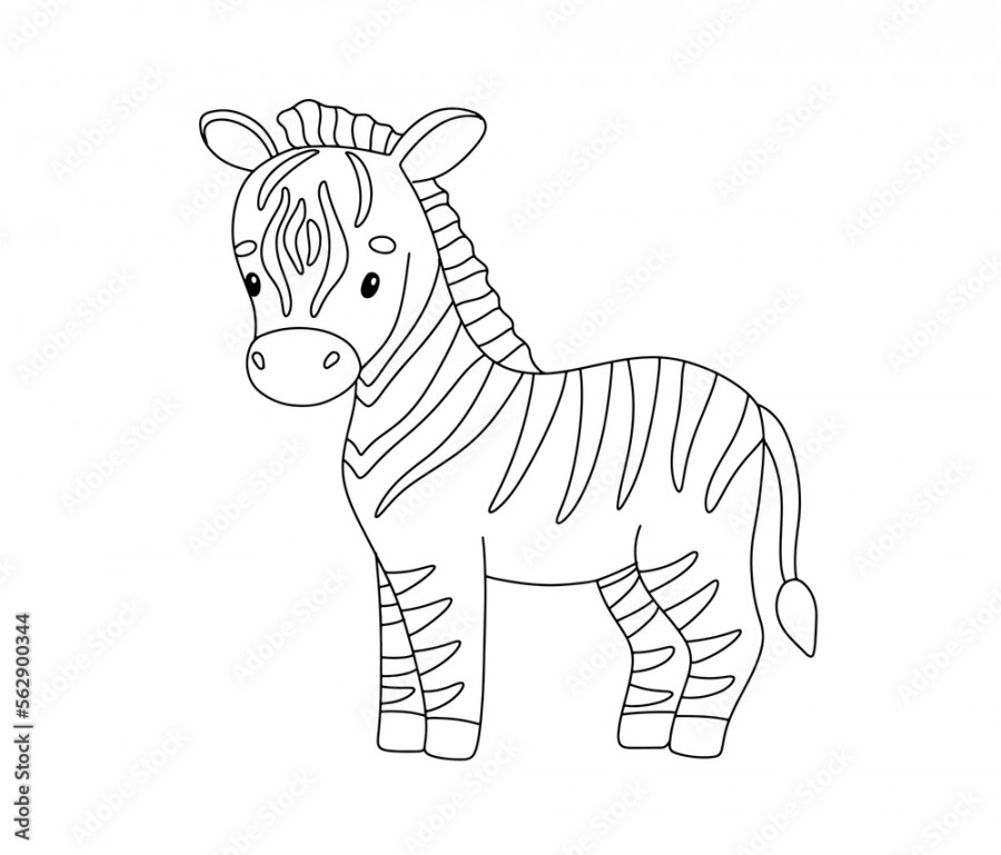 Cute zebra in line style