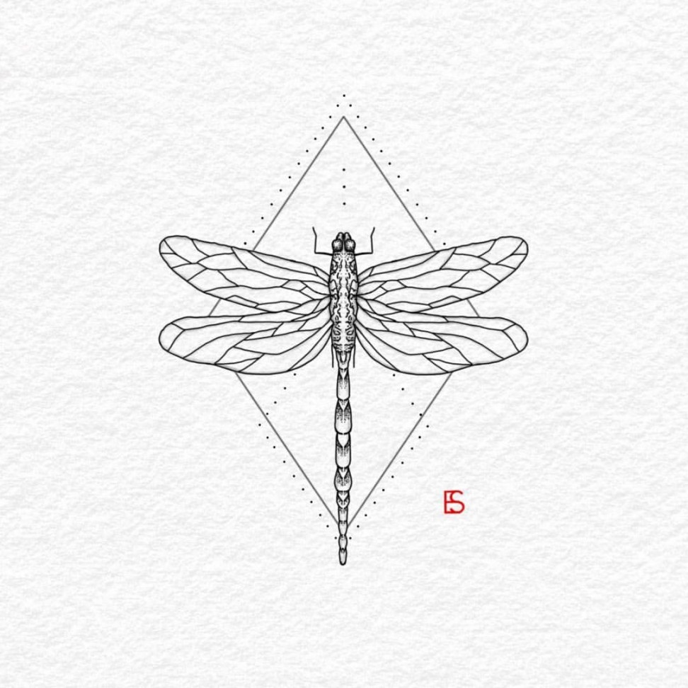 dragonflies signify change and adaptability