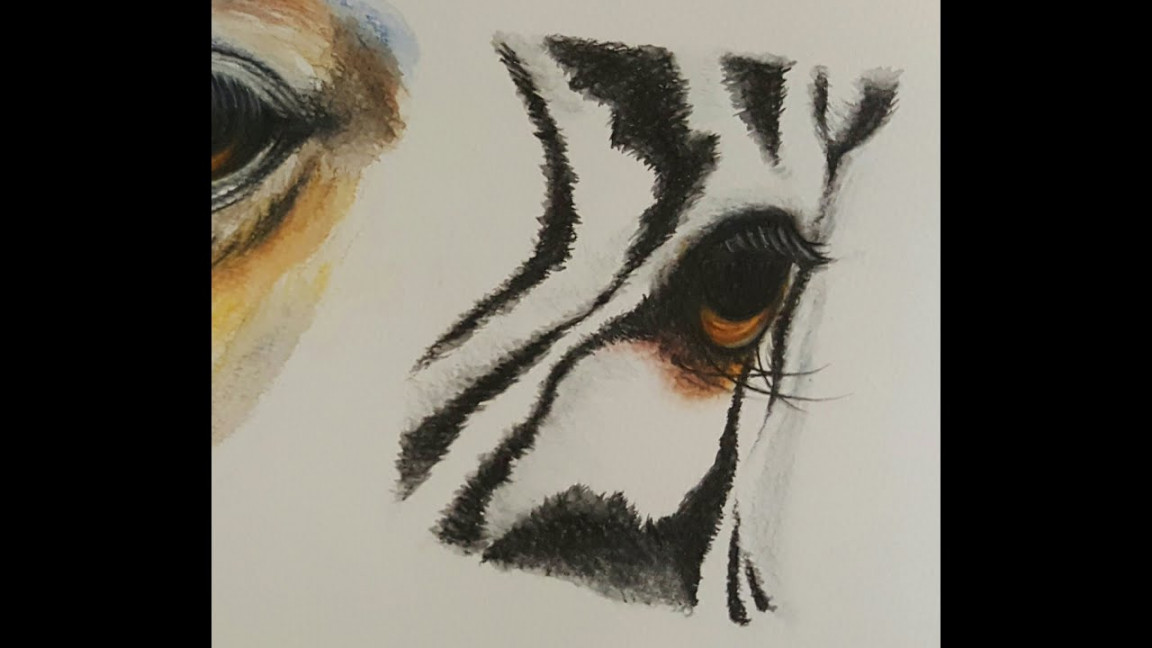 Drawing a zebra eye with Watercolor pencils  how to draw  animal eyes