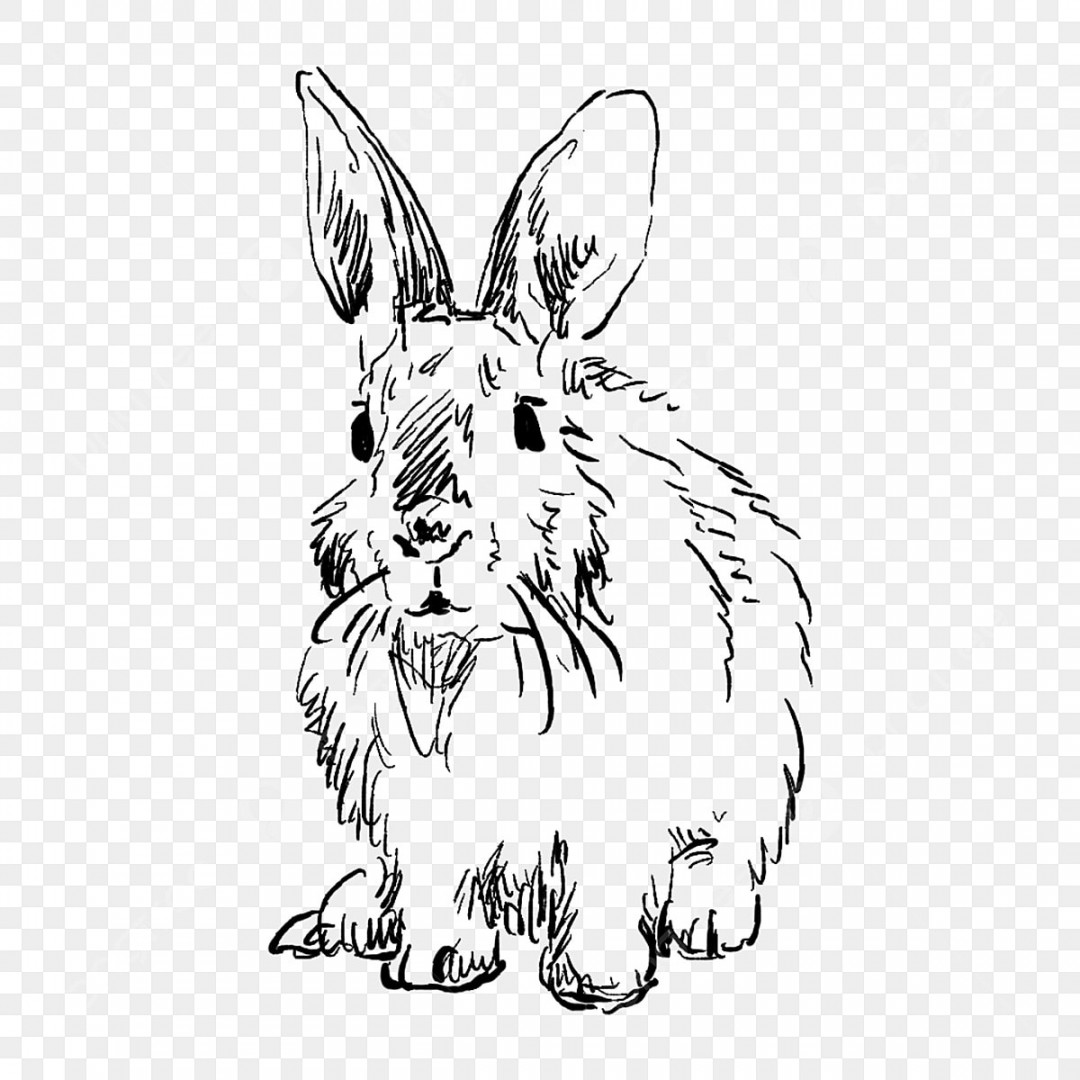 Drawing Rabbit PNG Transparent Images Free Download  Vector Files