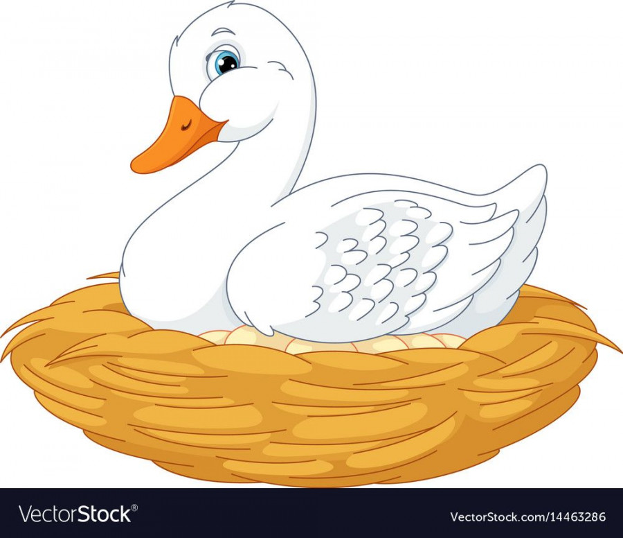 Duck in nest Royalty Free Vector Image - VectorStock  Drawings