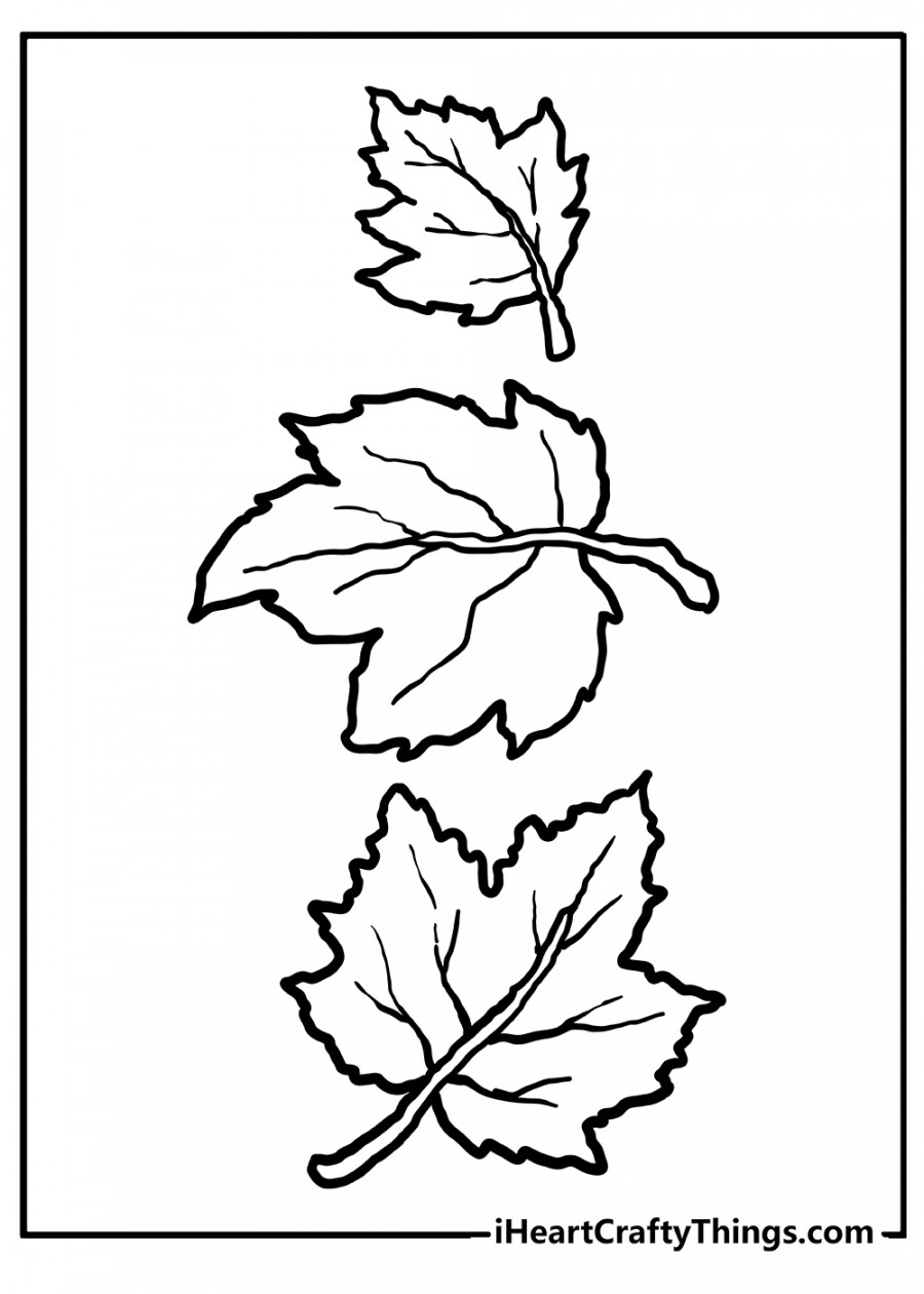 Fall Leaves Coloring Pages (% Free Printables)