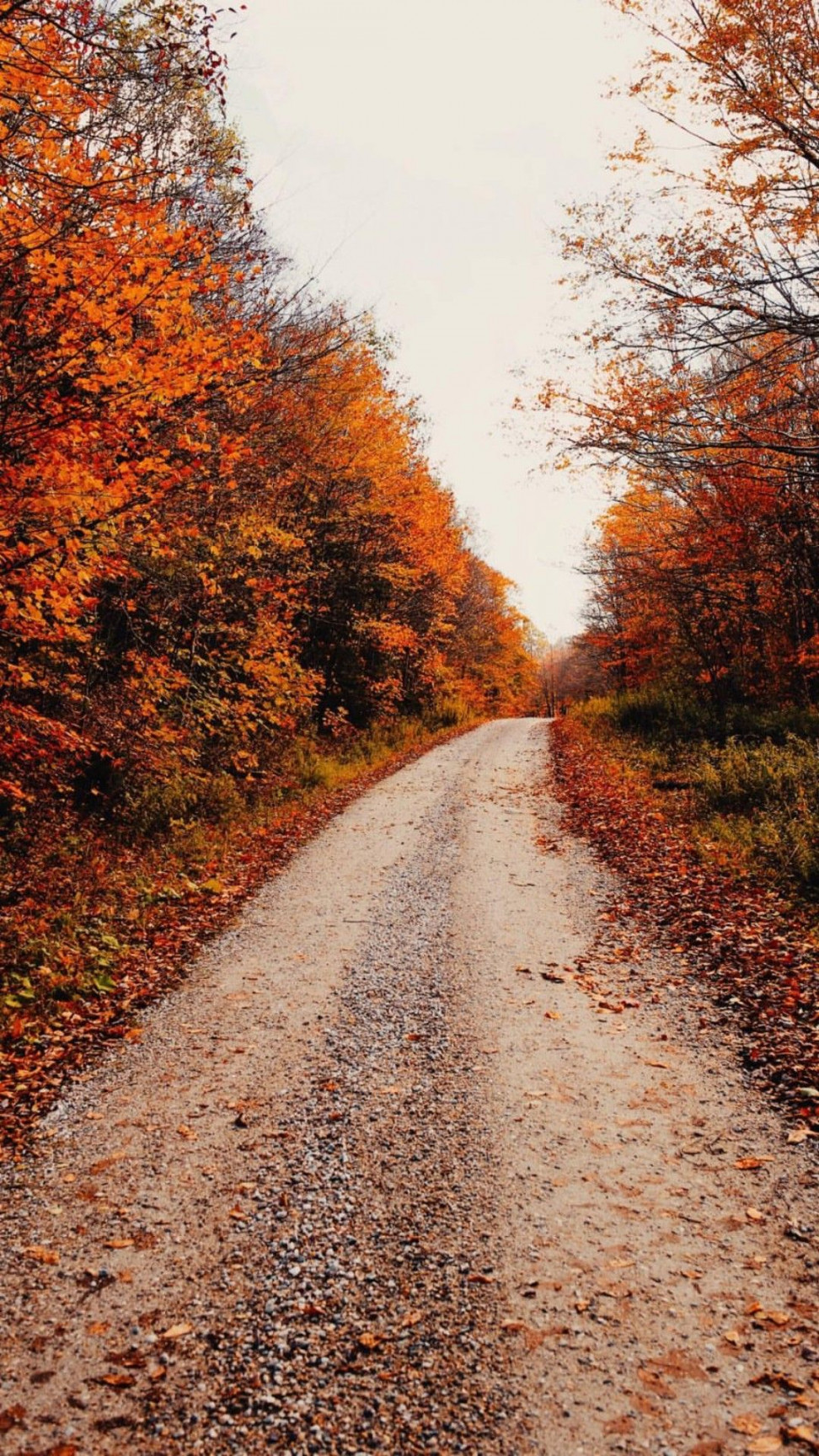 Fall Lockscreens 🍁🍁 📸: @xomissdanielle on Instagram  Autumn