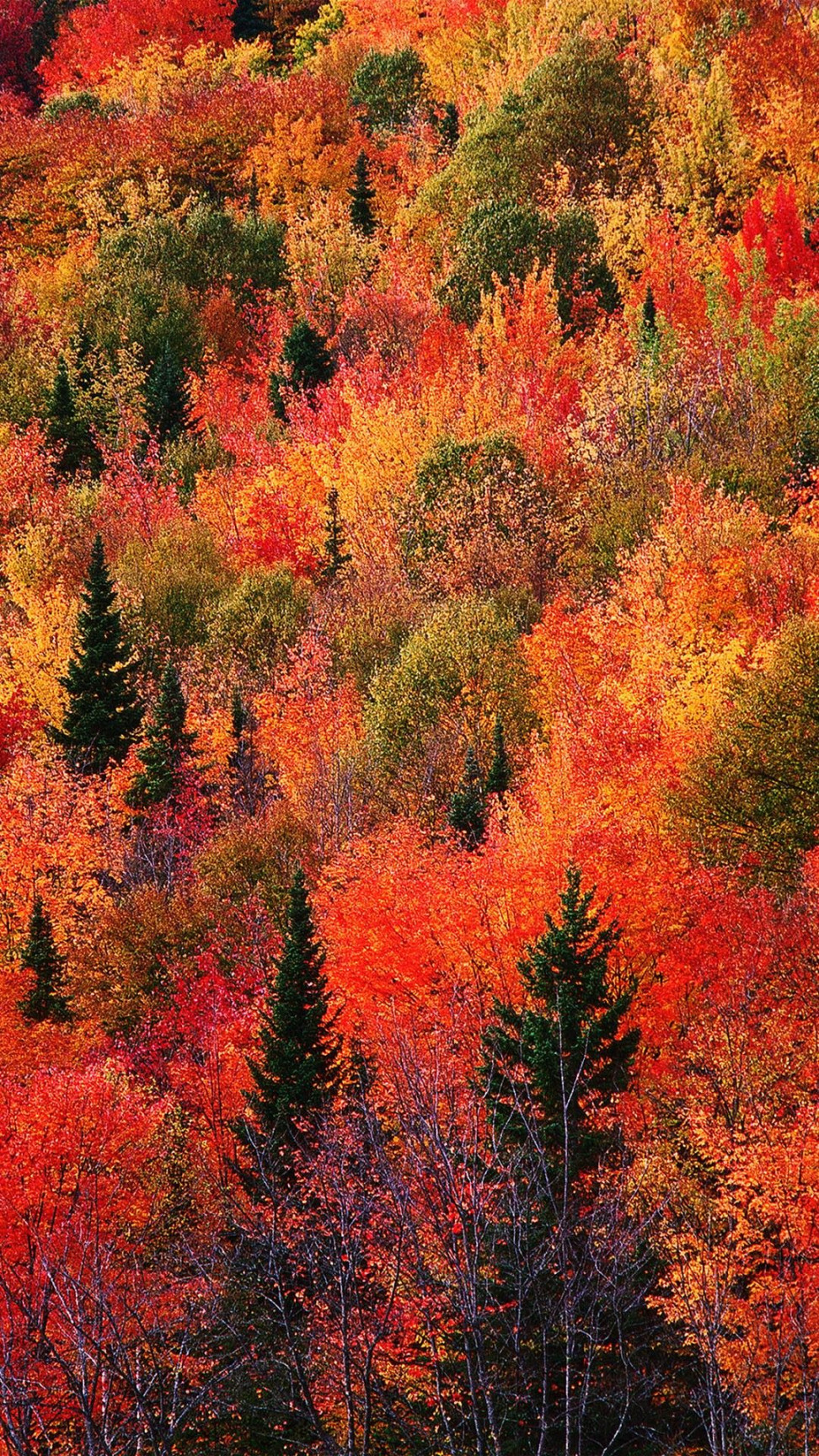 Fall Mountain Red Phone Wallpaper Lockscreen HD K Android iOS