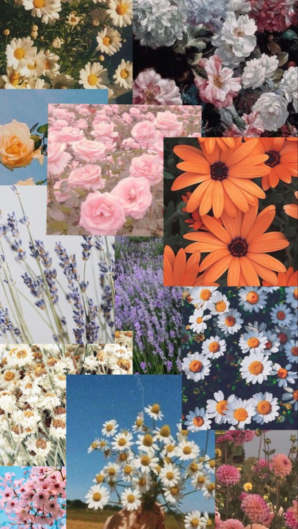 flower wallpaper  Flower photo collage, Flowers photography