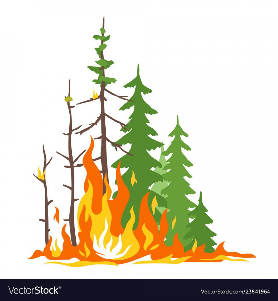 Forest fire poster Royalty Free Vector Image - VectorStock  Fire