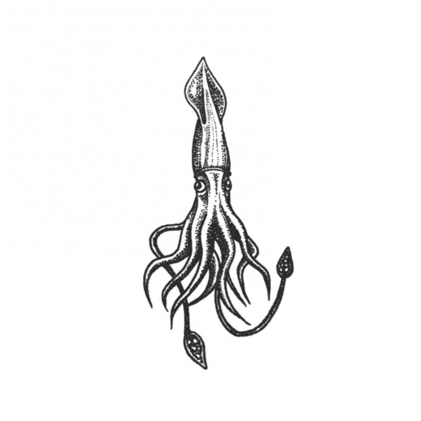 Giant Squid Tattoo  Squid tattoo, Tentacle tattoo, Black ink tattoos