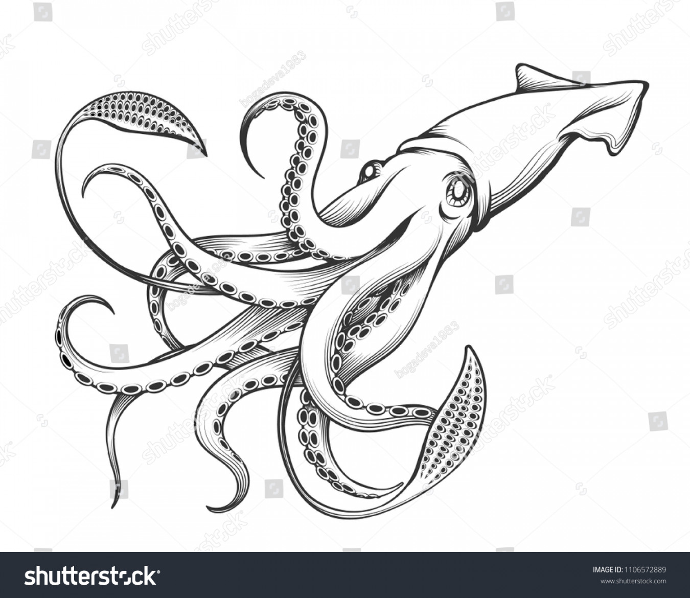 Giant Squid Tattoo Stock Photos and Pictures - , Images