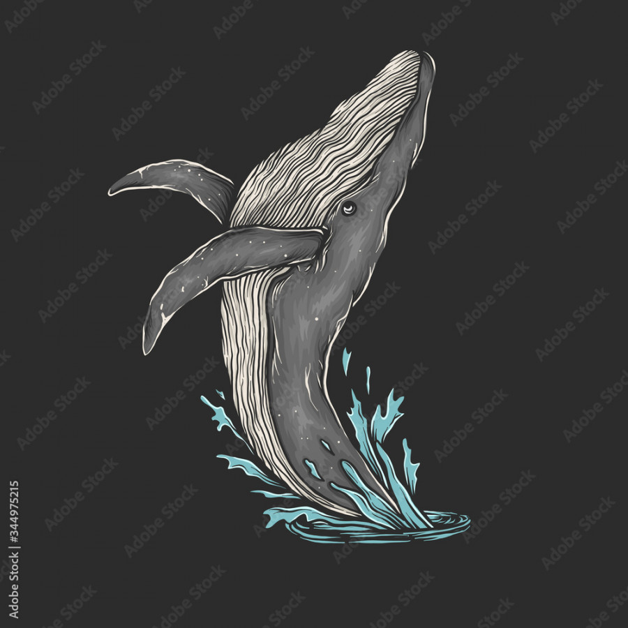 Hand drawing vintage whale jump vector illustration Stock