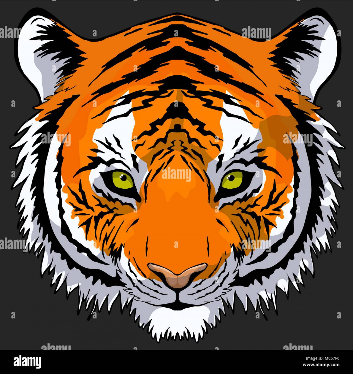 Hand drawn tiger head front view, vector Stock Vector Image & Art