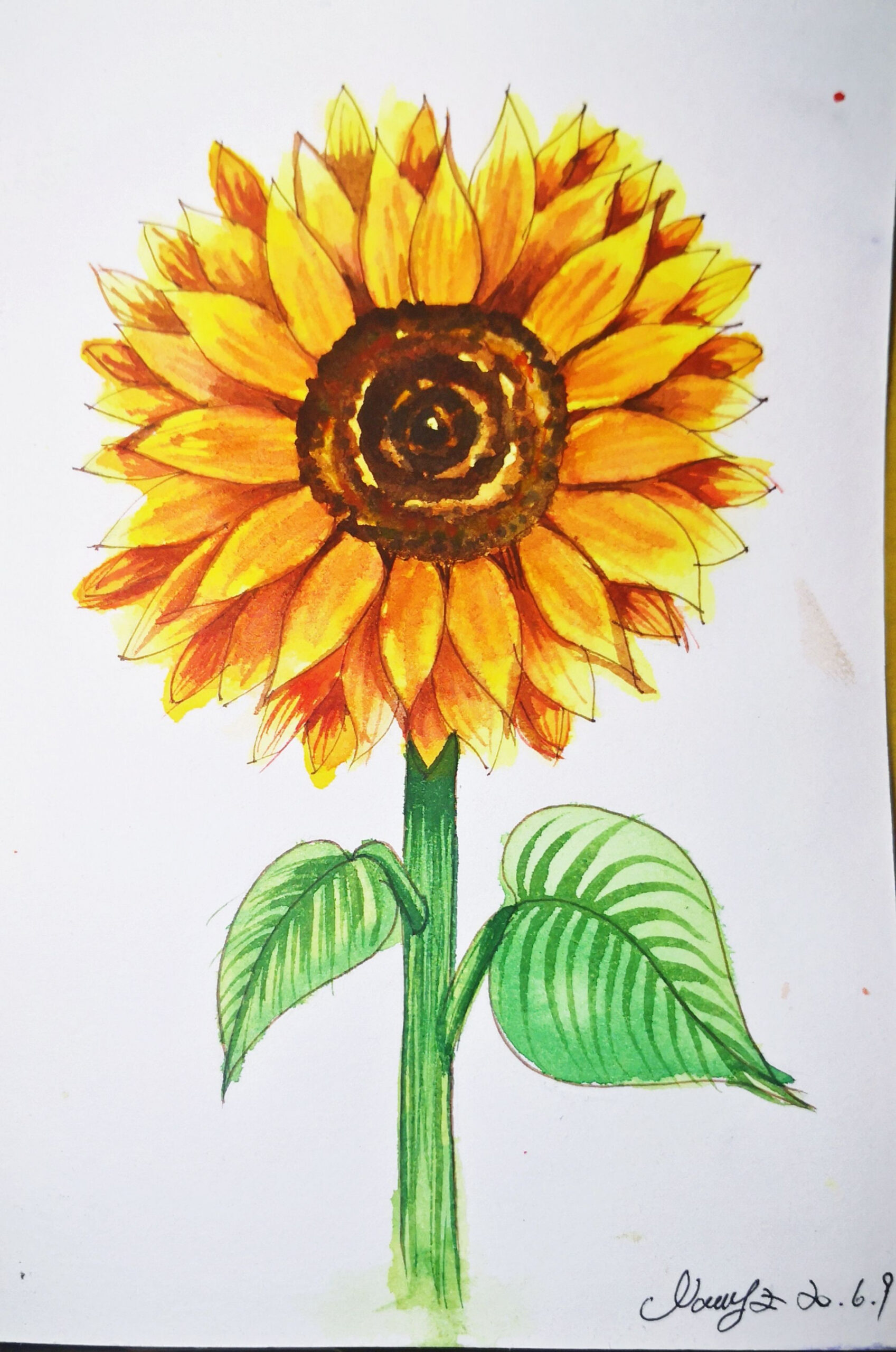 HiArt: Super easy How to draw a sunflower with Watercolor and