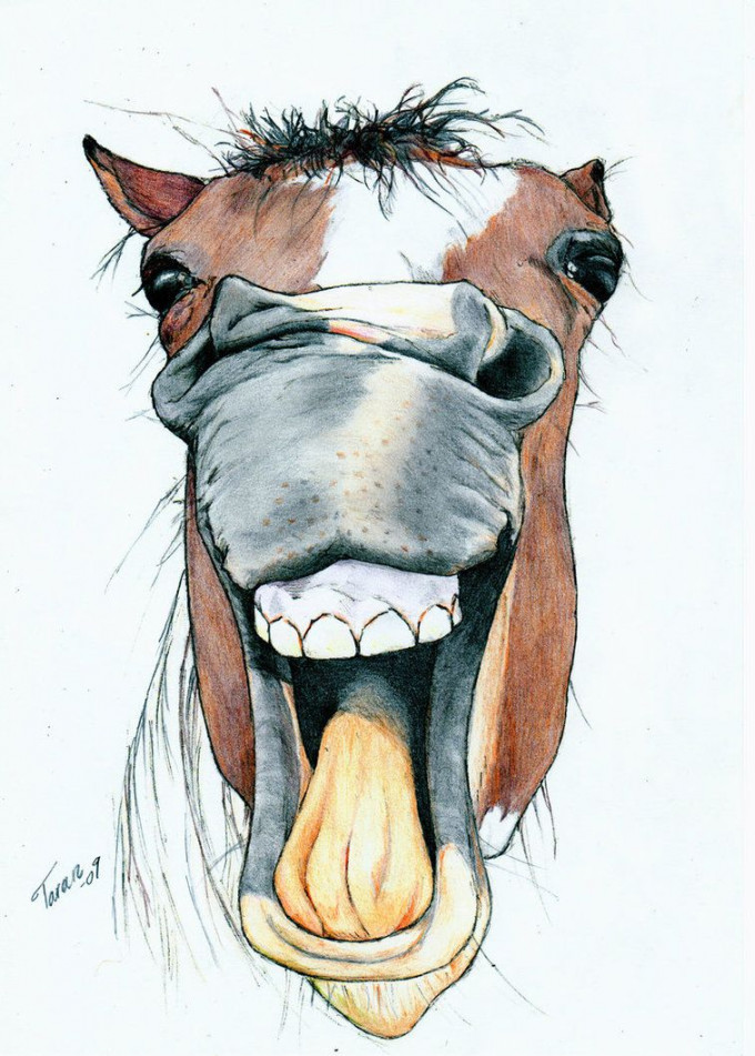 Horsie by Adniv  Horse drawings, Horse art drawing, Horse painting