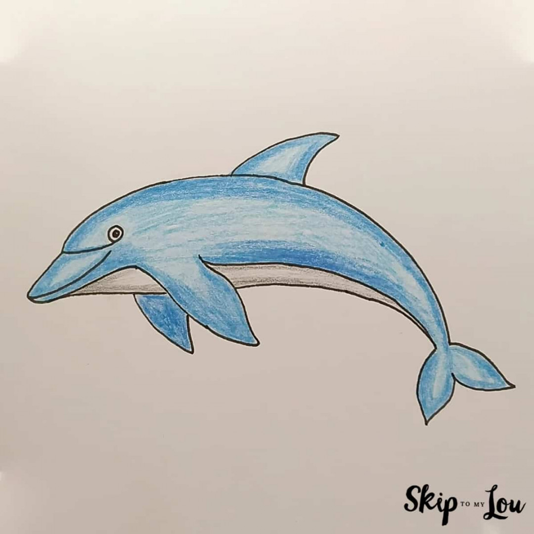 How to Draw a Dolphin: An Easy Guide  Skip To My Lou