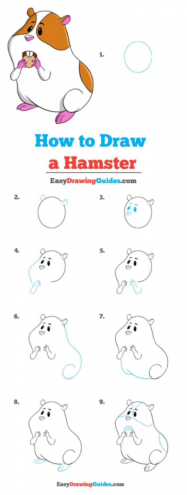 How to Draw a Hamster - Really Easy Drawing Tutorial  Easy