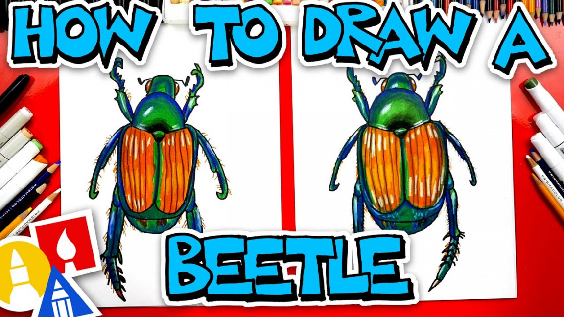 How To Draw A Japanese Beetle