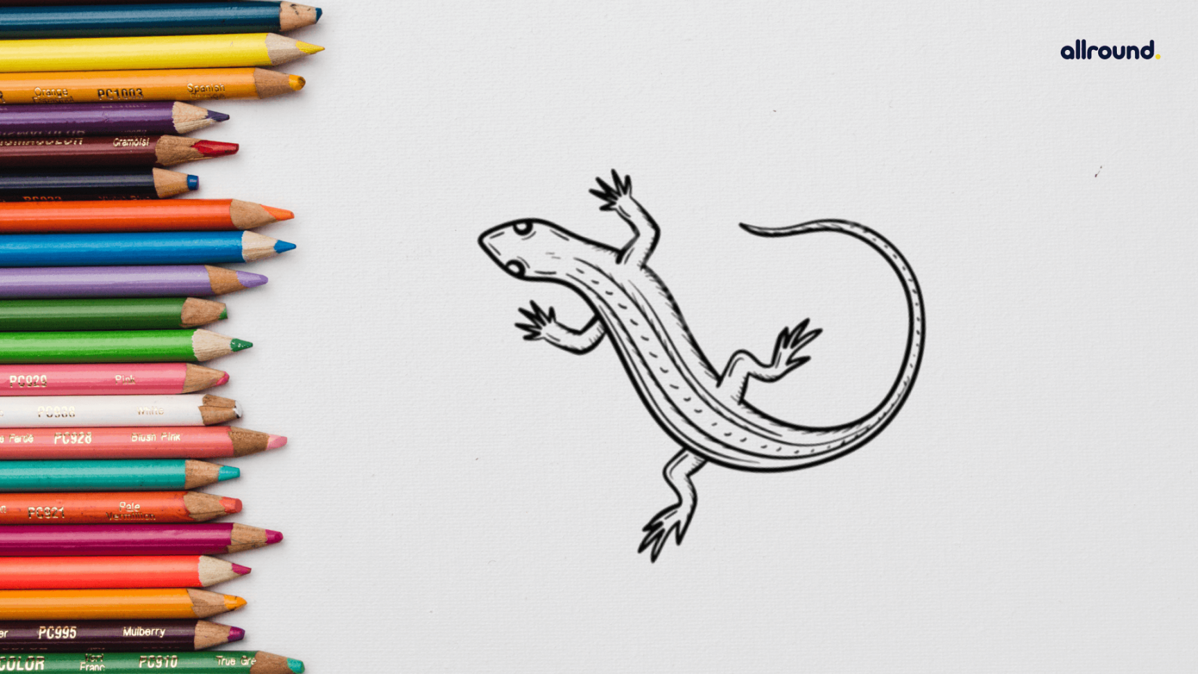 How To Draw A Lizard? - Step by Step Drawing Guide for Kids