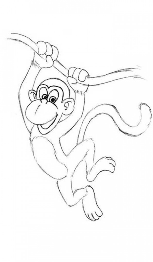 How to draw a monkey  Monkey drawing, Monkey drawing easy, Drawings