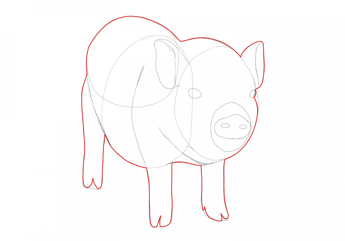 How to Draw a Pig  Design School