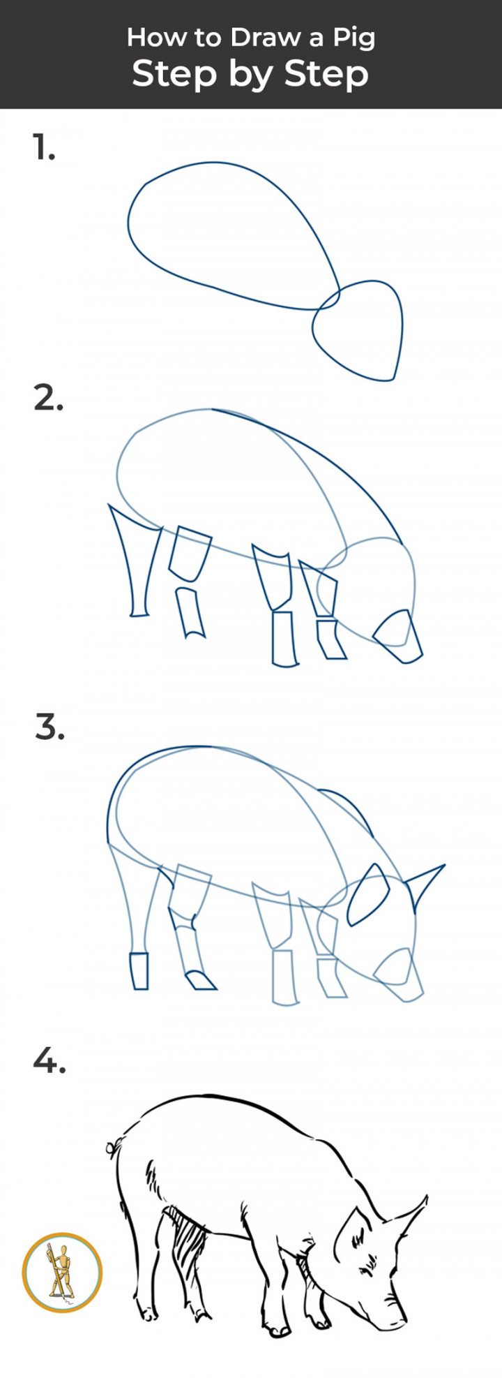 How to Draw a Pig – Step by Step  SketchBookNation